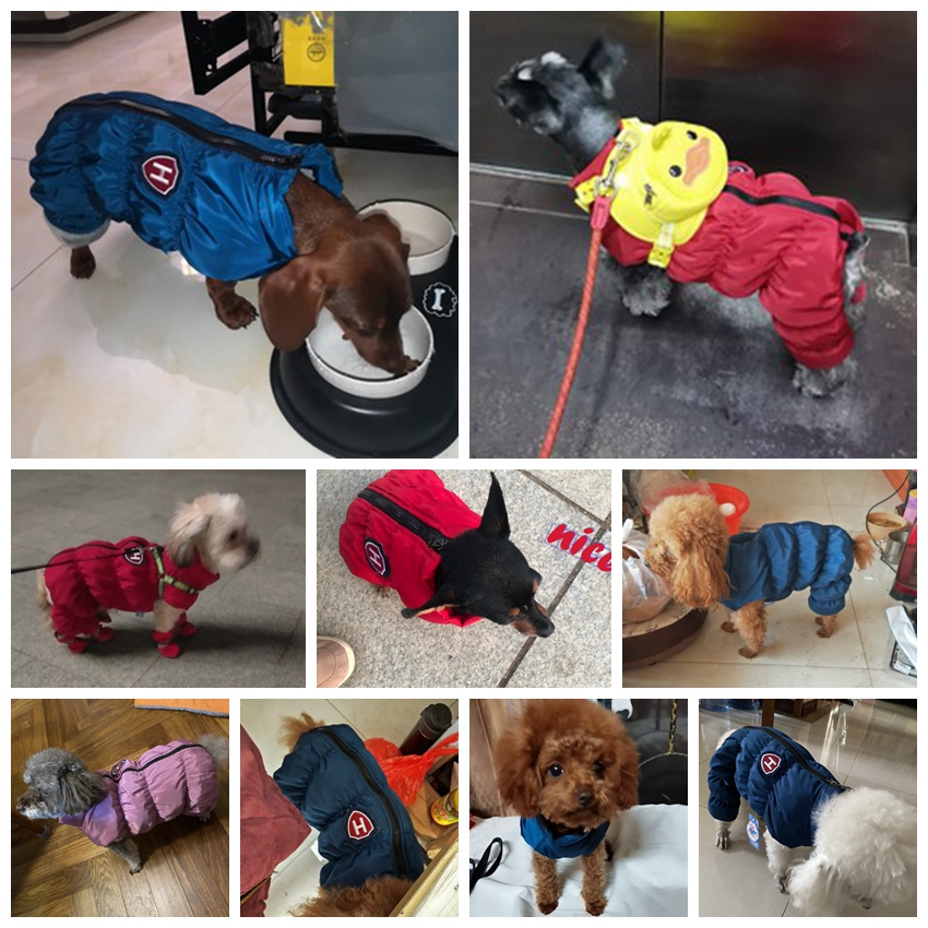 지퍼 스노우 남여 개 방수 작업복 블루 퍼플 애완 동물 - Winter Clothing For Babies 리뷰 및 가격